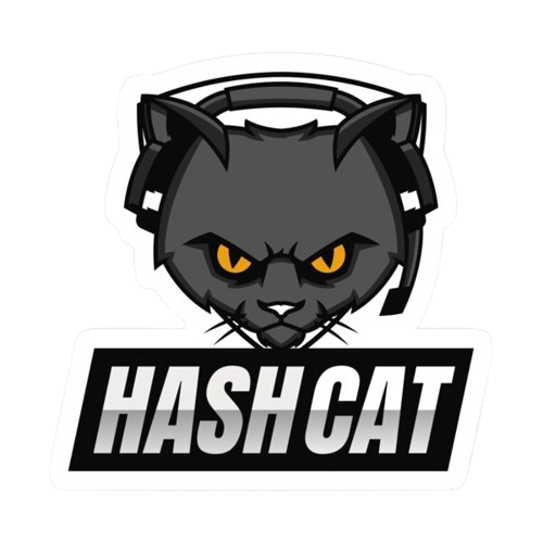 hashcat skill